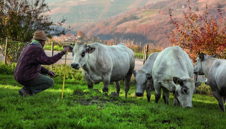 La nostra carne la chiamiamo per nome